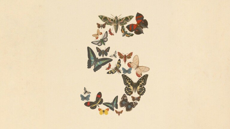 Il numero 3 composto da una composizione artistica di farfalle e falene colorate su sfondo beige.