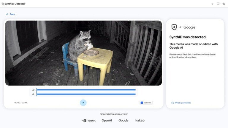 Schermata di SynthID Detector che analizza il video di un procione e rileva l'uso di IA
