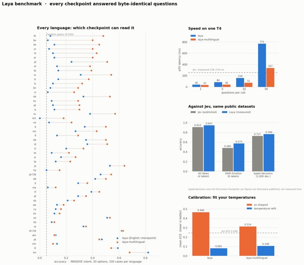 Grafico di benchmark che confronta le performance di comprensione linguistica dei modelli Laya.
