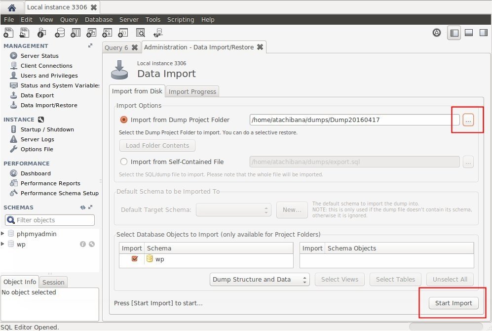 Finestra Data Import e Restore in MySQL Workbench con il pulsante Start Import evidenziato.